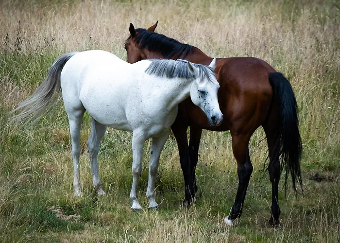 Apartment La Ferme De La Rayee 1869